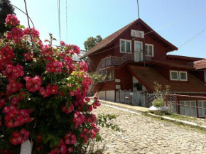 Отель Vila Floare de Colt, Синая